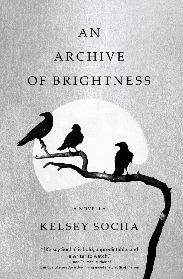 Kelsey Socha - Archive of Brightness, Häftad