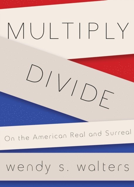 Wendy S. Walters - Multiply/Divide, E-bok