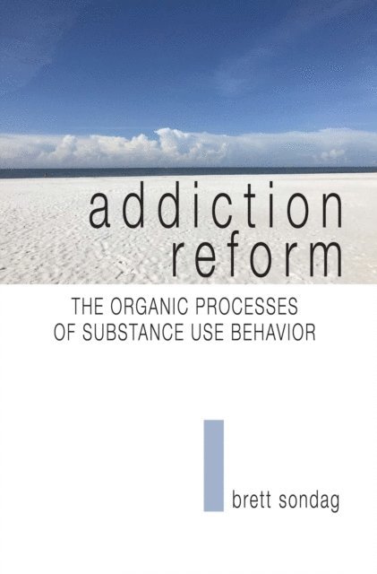 Brett Sondag - Addiction Reform, E-bok
