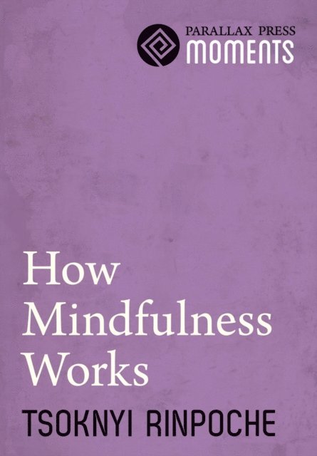 Tsoknyi Rinpoche - How Mindfulness Works, E-bok
