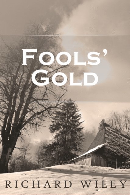 Richard Wiley - Fools' Gold, E-bok