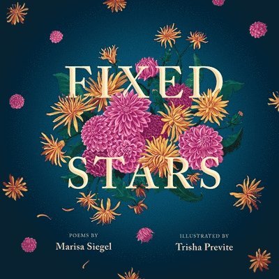 Marisa Siegel - Fixed Stars, Häftad
