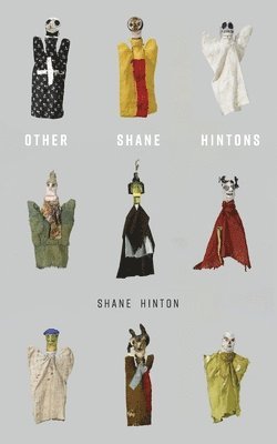 Shane Hinton - Other Shane Hintons, Häftad