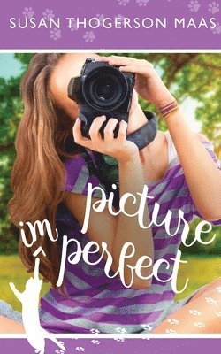 Susan Thogerson Maas - Picture Imperfect, Häftad