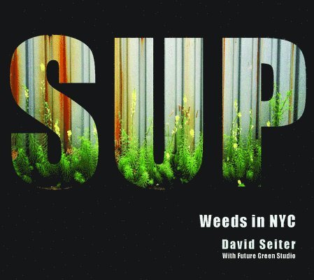 David Seiter - Spontaneous Urban Plants, Inbunden