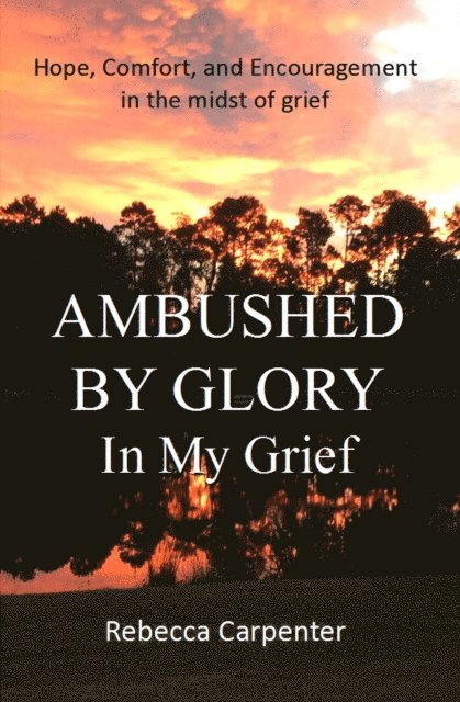 Rebecca Carpenter - Ambushed by Glory in My Grief, E-bok