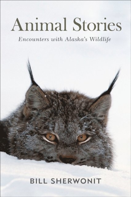 Bill Sherwonit - Animal Stories, E-bok