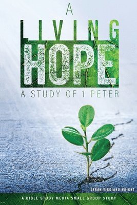 Sarah Viggiano Wright - Living Hope, Häftad