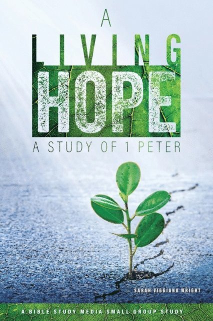 Sarah Viggiano Wright - Living Hope, E-bok