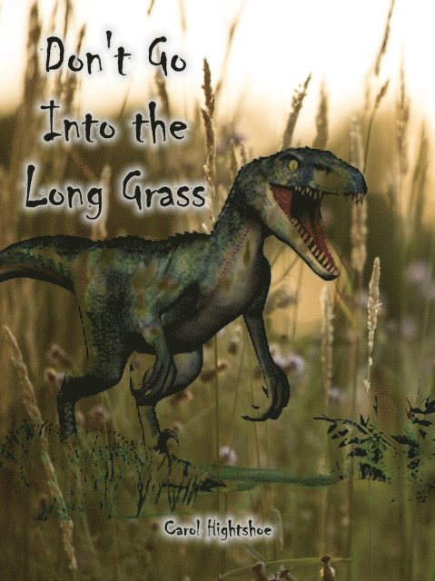 Don't Go Into the Long Grass