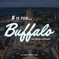 B is for... Buffalo