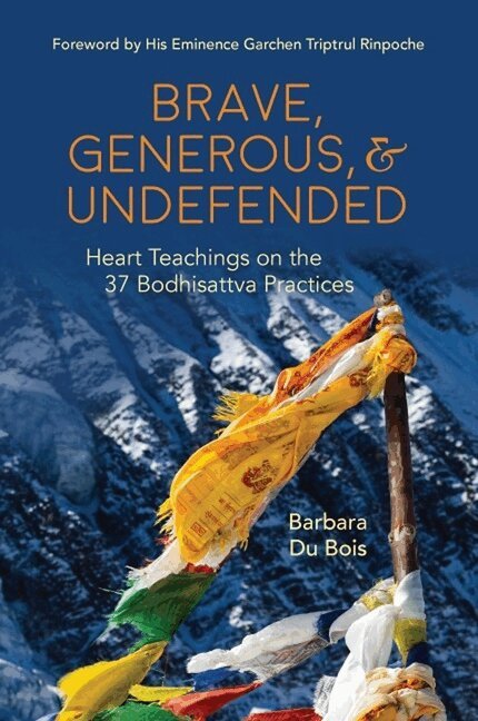 Barbara Du Bois - Brave, Generous, & Undefended, Häftad