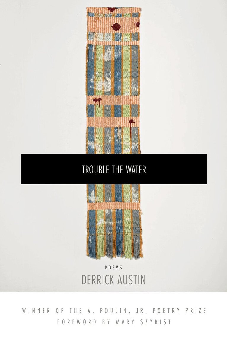 Derrick Austin - Trouble the Water, Häftad