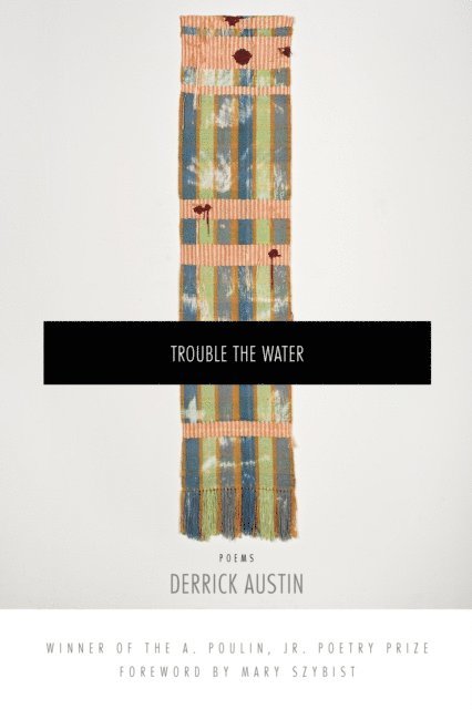 Derrick Austin - Trouble the Water, E-bok