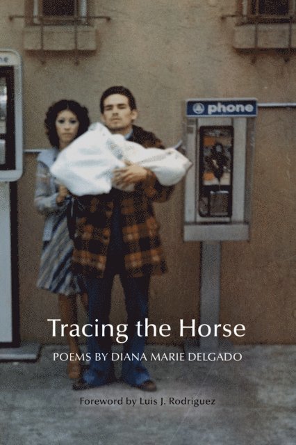 Diana Marie Delgado - Tracing the Horse, E-bok