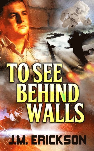 J. M. Erickson - To See Behind Walls, E-bok