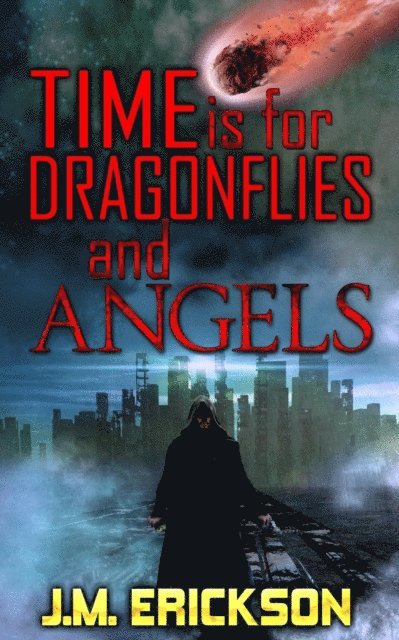 J. M. Erickson - Time is for Dragonflies and Angels, E-bok