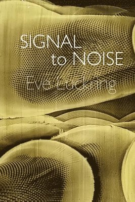Eve Luckring - Signal to Noise, Häftad
