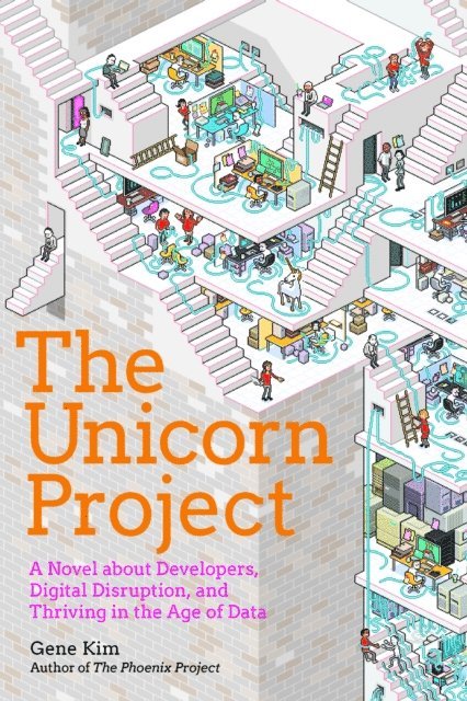 Gene Kim - Unicorn Project, E-bok