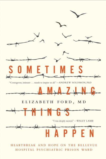 Elizabeth Ford - Sometimes Amazing Things Happen, E-bok
