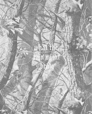 Dylan Hausthor - What the Rain Might Bring, Inbunden