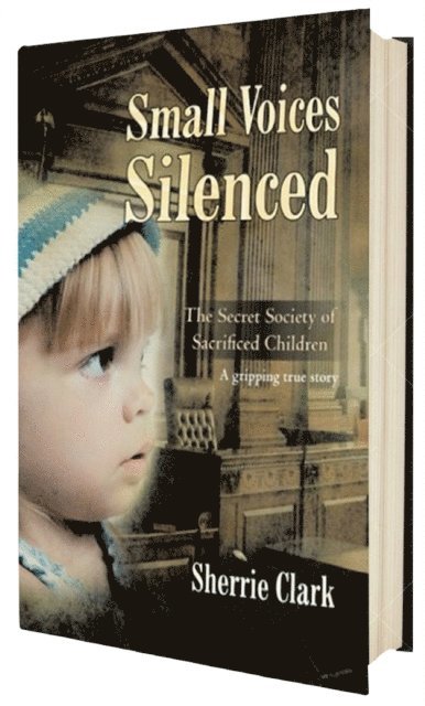 Sherrie Clark - SMALL VOICES SILENCED, E-bok