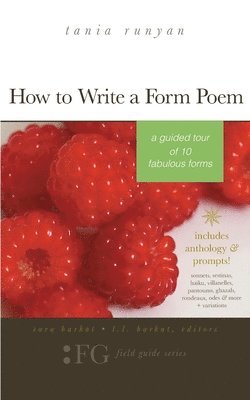 Sara Barkat, L. L. Barkat - How to Write a Form Poem: A Guided Tour of 10 Fabulous Forms: includes anthology & prompts! sonnets, sestinas, haiku, villanelles, pantoums, gha, Häftad