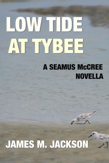 James M. Jackson - Low Tide at Tybee: A Seamus McCree Novella, E-bok