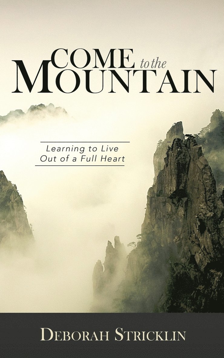 Deborah Stricklin - Come to the Mountain, Häftad