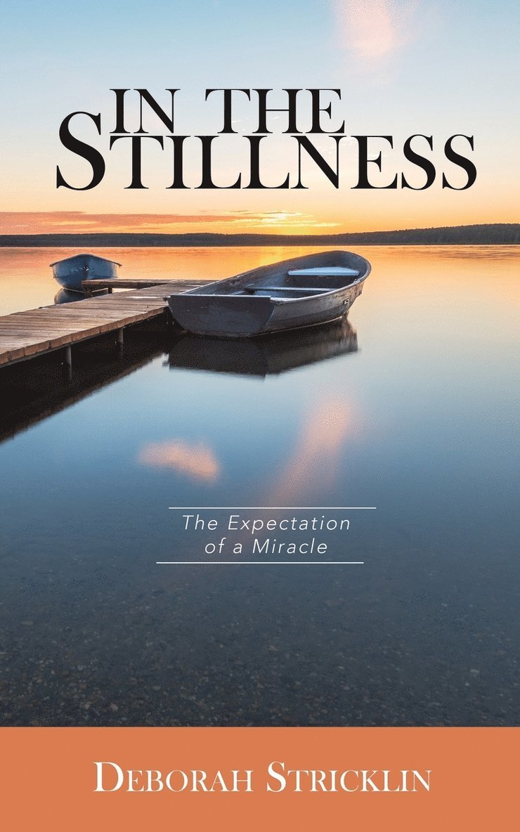 Deborah Stricklin - In the Stillness, Häftad