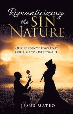 Jesus Mateo - Romanticizing the Sin Nature, Häftad
