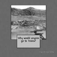Bryce Steven Banks - Why would anyone go to Trona?, Häftad