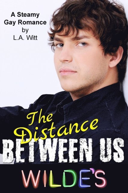 L. A. Witt - Distance Between Us, E-bok