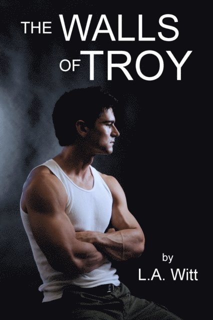 L. A. Witt - Walls of Troy, E-bok