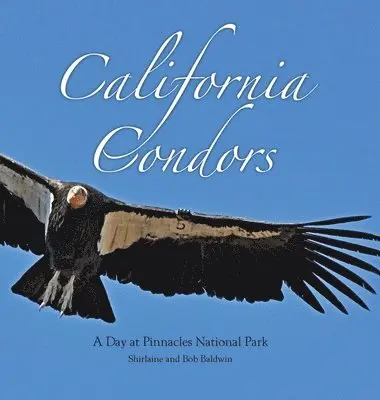 Shirlaine Baldwin, Bob Baldwin - California Condors, Inbunden. Tillgänglighet: Lägg i varukorg
