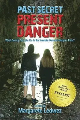Margarete Ledwez - Past Secret Present Danger, Häftad. Tillgänglighet: Lägg i varukorg