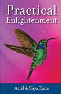 Ariel And Shya Kane - Practical Enlightenment, Häftad