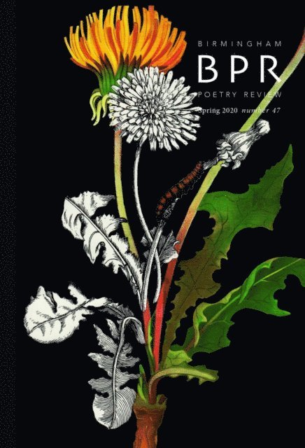 Adam Vines - Birmingham Poetry Review, E-bok