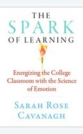 Spark of Learning