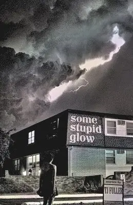 Tj Fuller - Some Stupid Glow: Stories, Häftad. Tillgänglighet: Lägg i varukorg