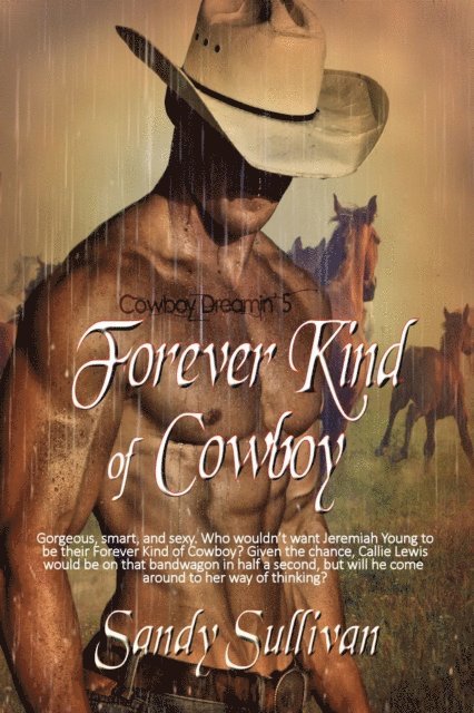 Sandy Sullivan - Forever Kind of Cowboy, E-bok