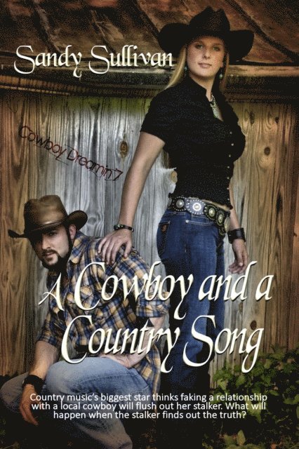 Sandy Sullivan - Cowboy and a Country Song, E-bok