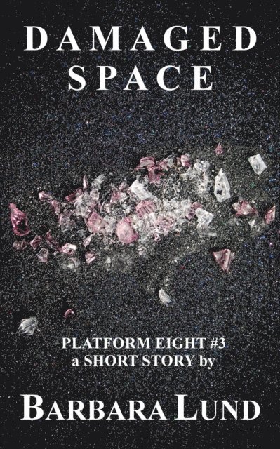 Barbara Lund - Damaged Space, E-bok