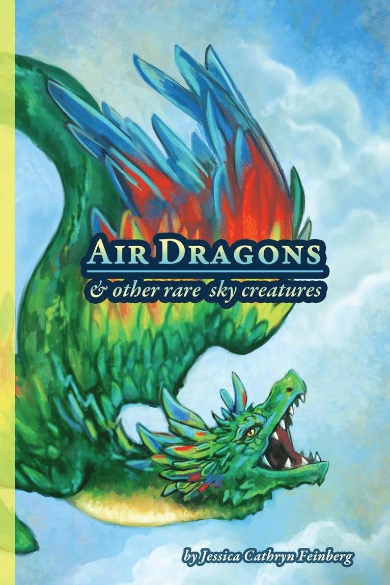 Jessica Feinberg - Air Dragons & Other Rare Sky Creatures, Häftad. Tillgänglighet: Lägg i varukorg