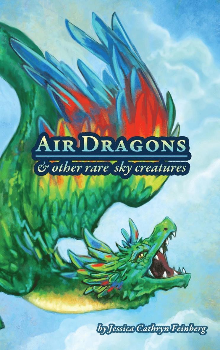 Jessica Feinberg - Air Dragons & Other Rare Sky Creatures, Inbunden. Tillgänglighet: Lägg i varukorg