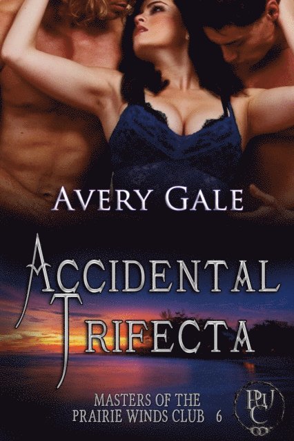 Avery Gale - Accidental Trifecta, E-bok