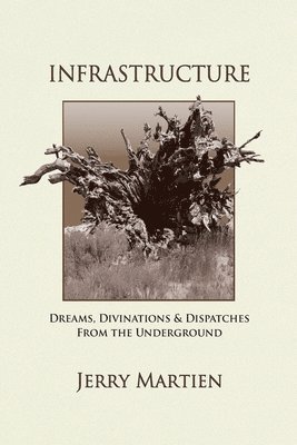 Jerry Martien - Infrastructure, Häftad