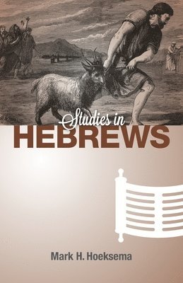 Mark H Hoeksema - Studies in Hebrews, Häftad