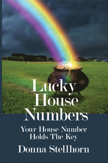 Donna Stellhorn - Lucky House Numbers, E-bok