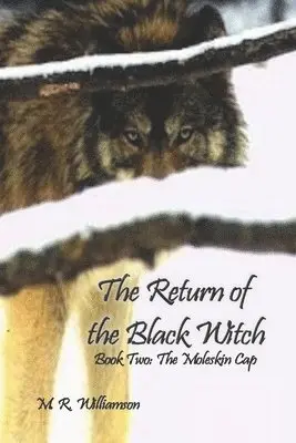 M R Williamson - Return of the Black Witch, Häftad. Tillgänglighet: Lägg i varukorg